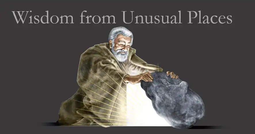 wisdom from unusual places